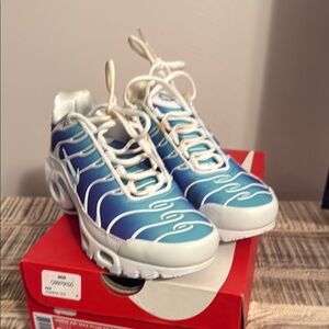 Nike Ocean Blue and White Air Max Plus